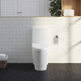 Kane One-Piece Elongated Toilet