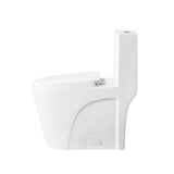 Kane One-Piece Elongated Toilet