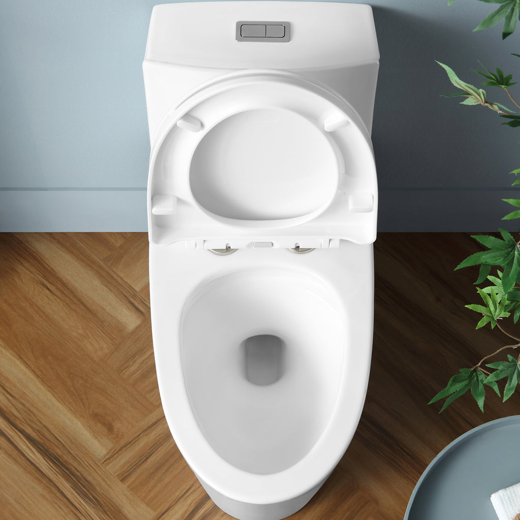 Kane OnePiece Elongated Toilet Ren Selections