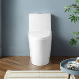 Kane One-Piece Elongated Toilet