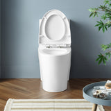 Kane One-Piece Elongated Toilet