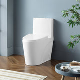 Kane One-Piece Elongated Toilet