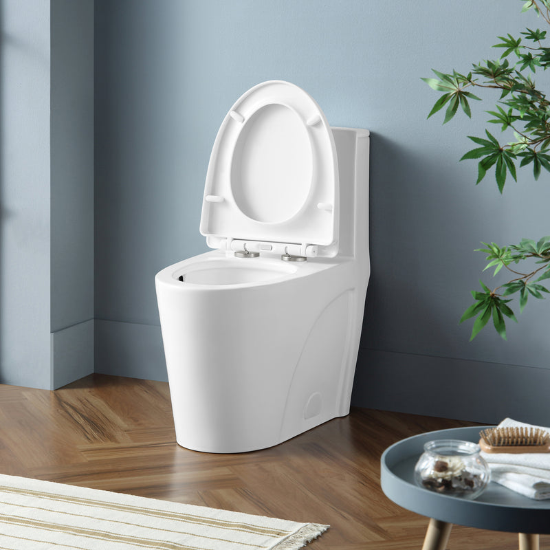 Kane One-Piece Elongated Toilet